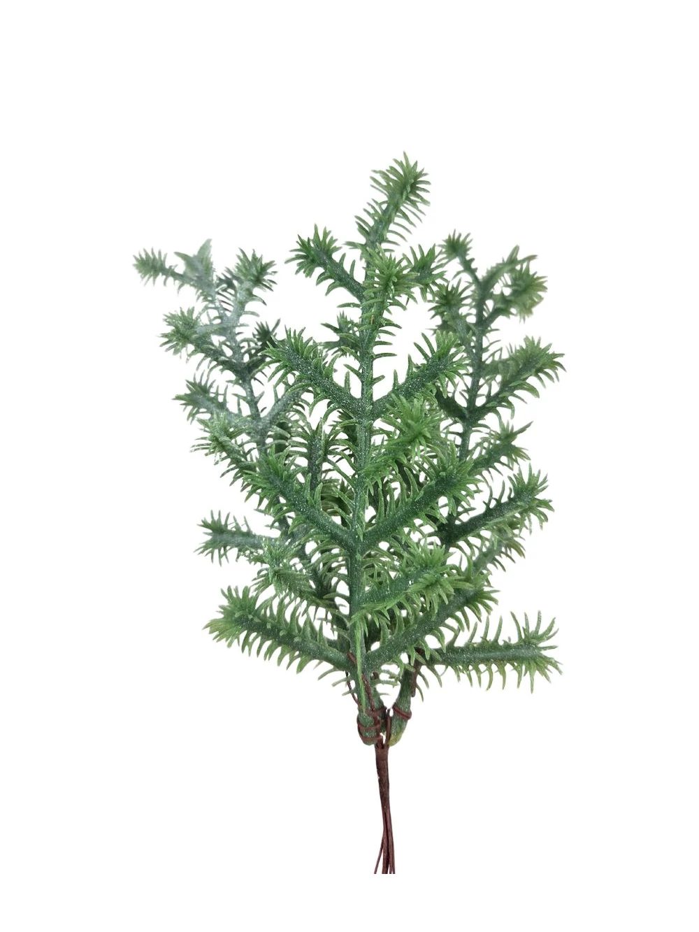 Apró levelű műzöld pikk