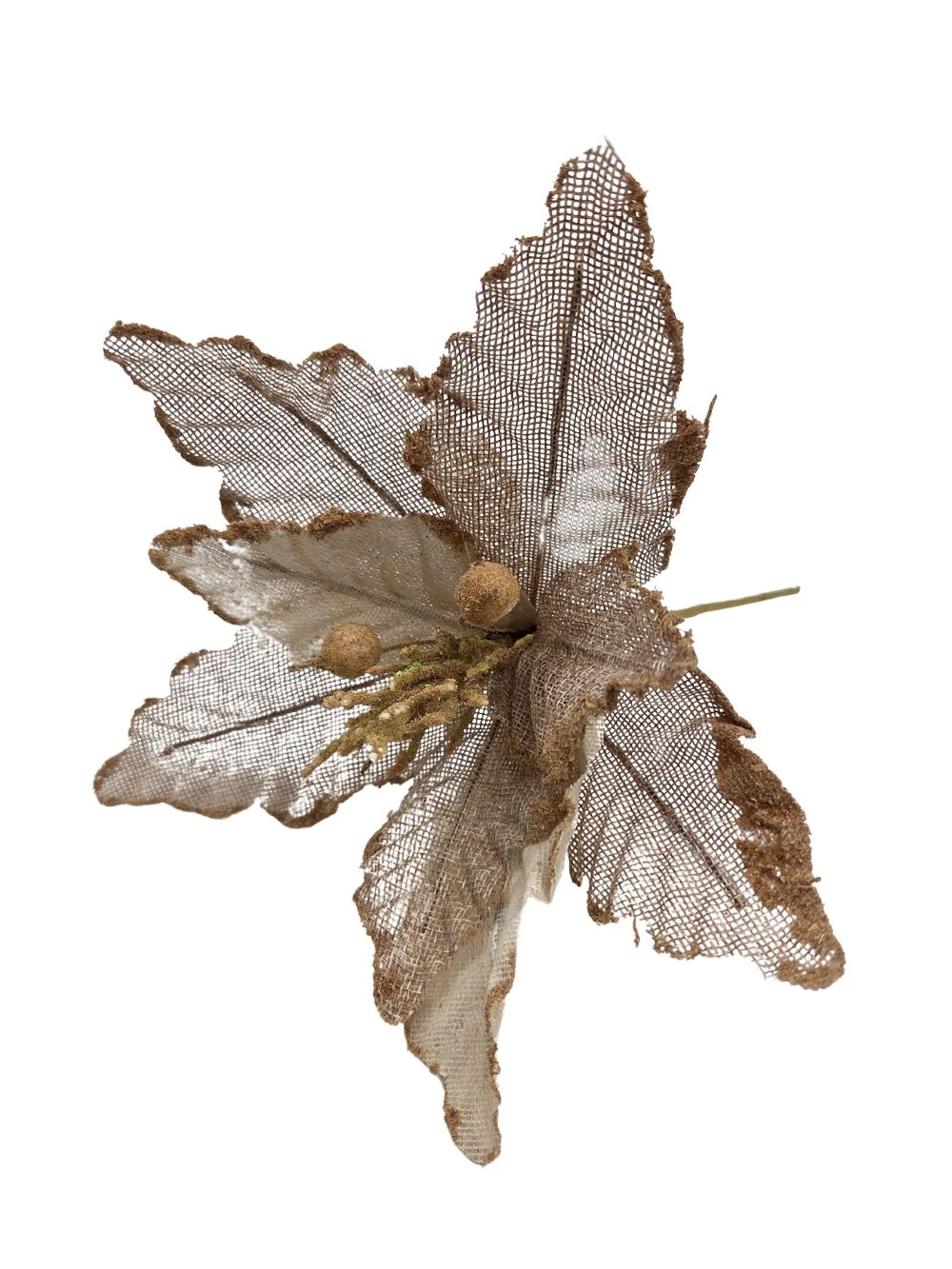 Natúr mikulás virág