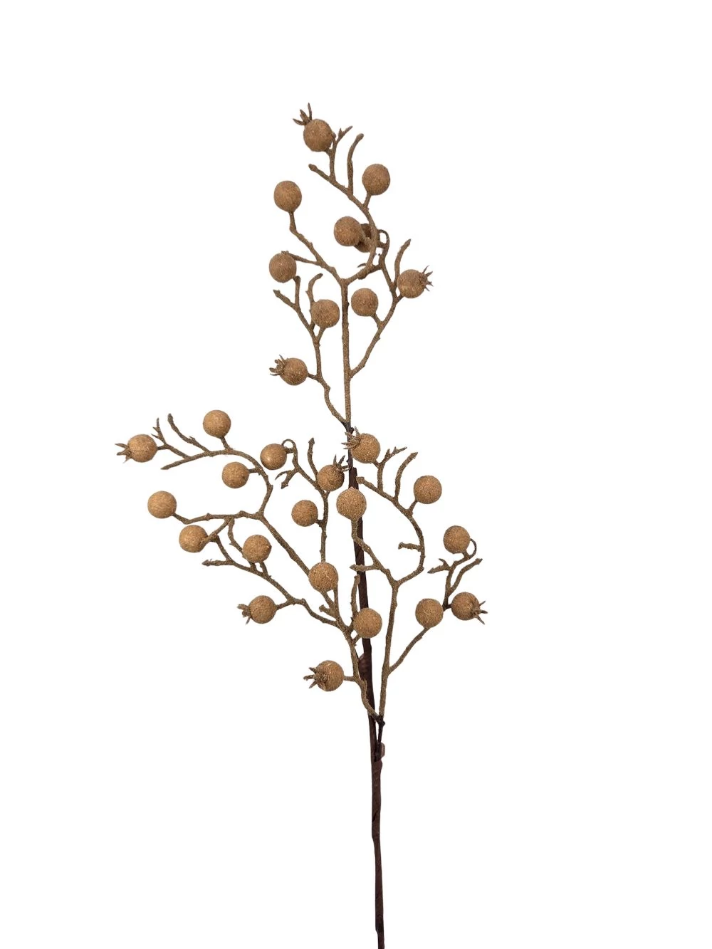 Bogyós ág D - Barna