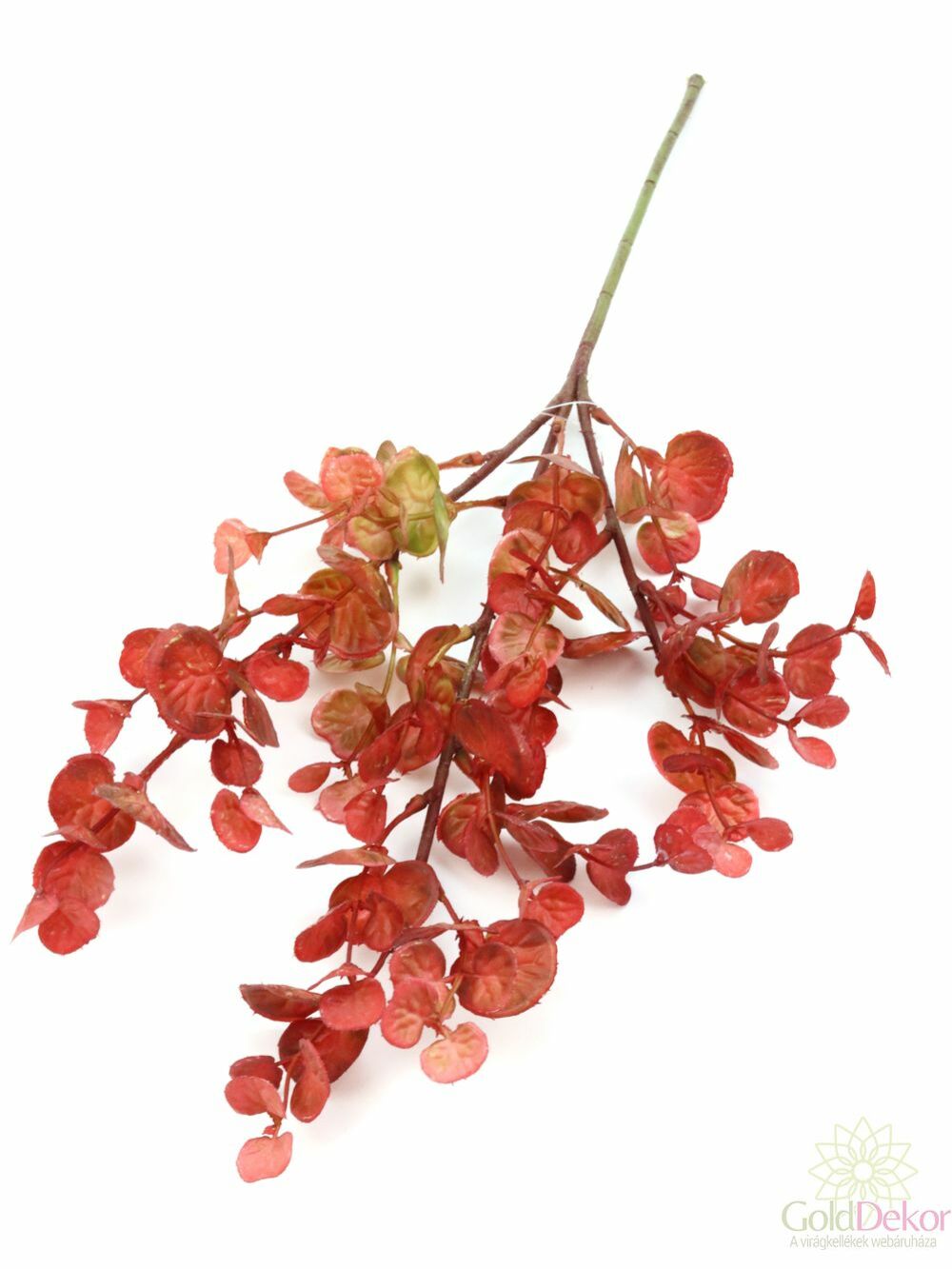 Mini eukalypthus 48 cm - Piros