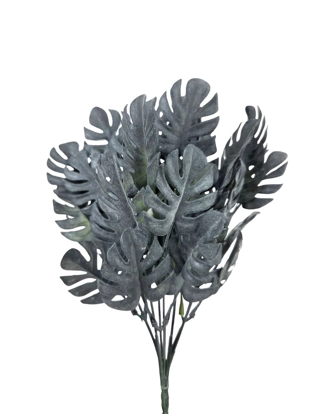 Műzöld csokor Monstera - Hamvas fekete