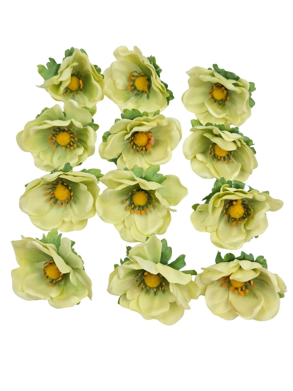 Anemone fej*12 - 36S