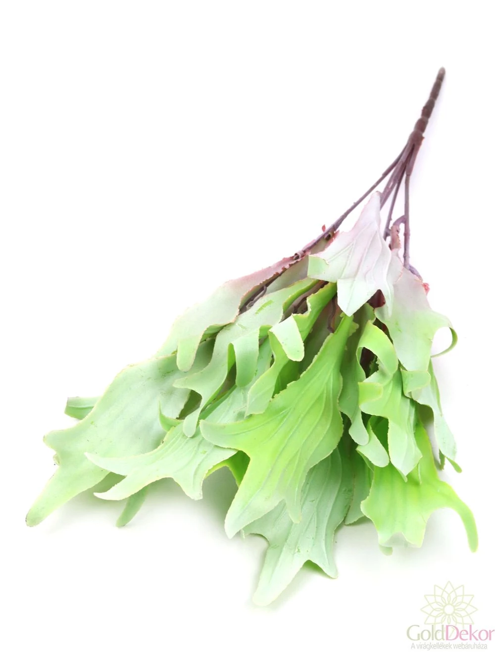 Mű szarvasagancs páfrány - Világos zöld