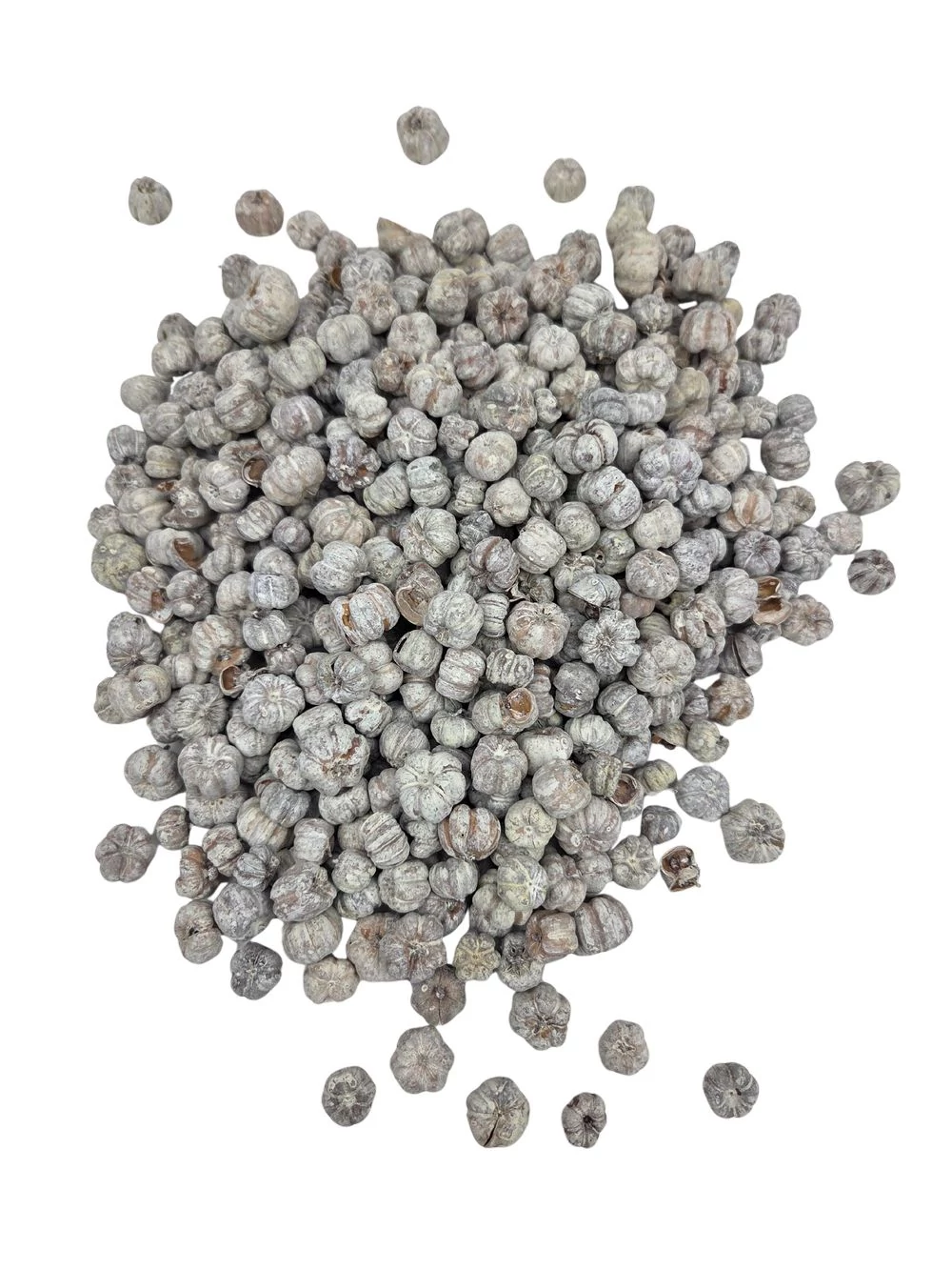 Liliputi tök zúzmarás