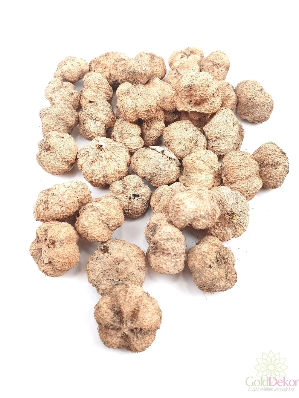 Fokhagyma termés falfestékes barack 