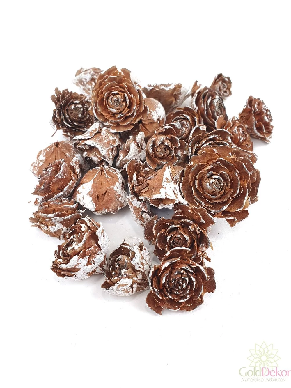 Cédrus rózsa fej 3-5cm havas