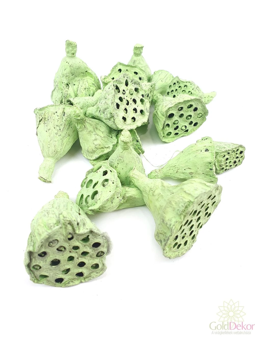 Lotus mini falfestékes vil.zöld