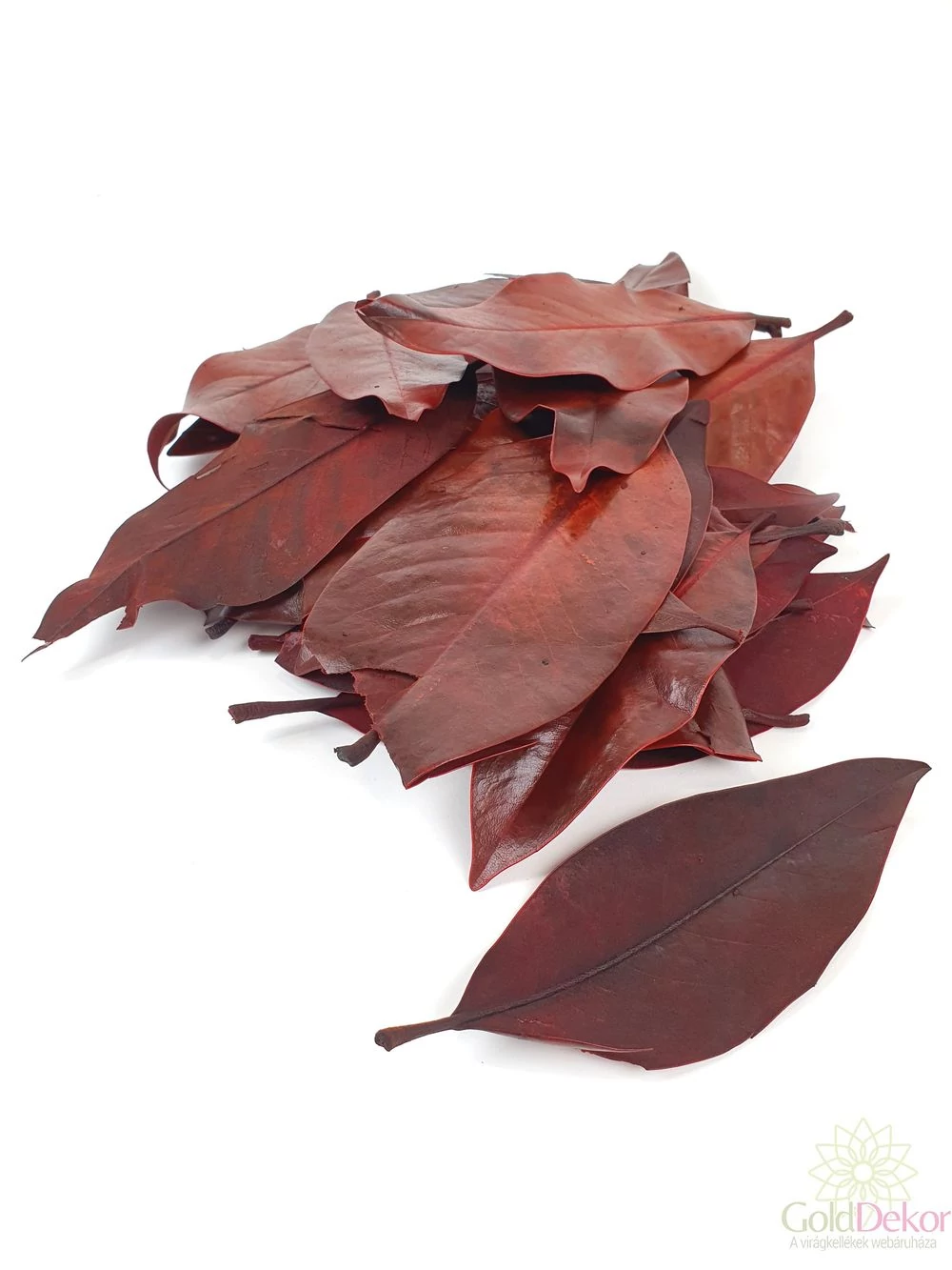 Magnolia levél prep. bordó