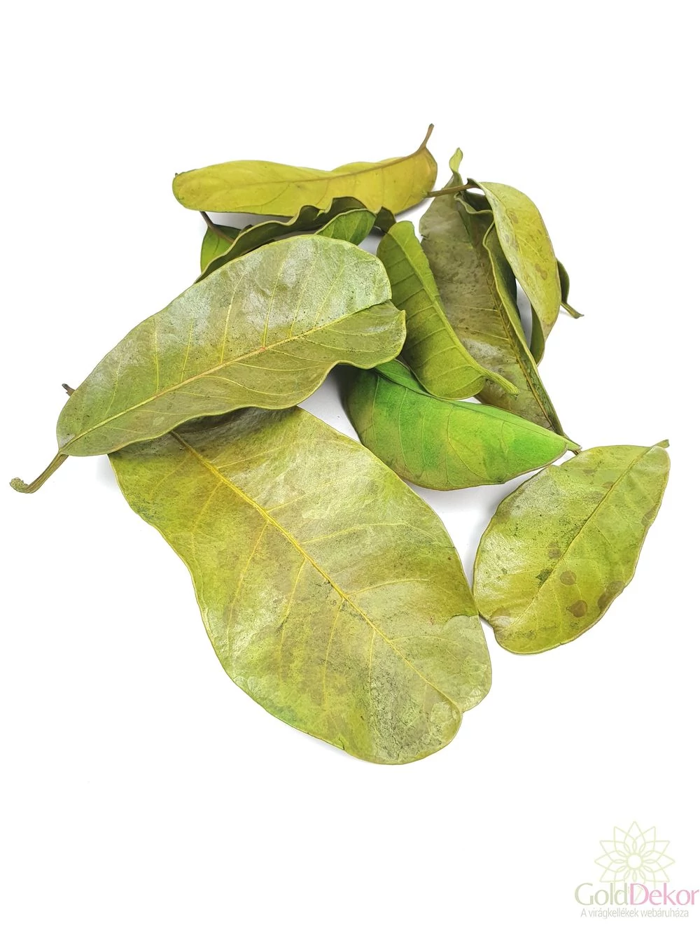 Mandioca levél vil.zöld