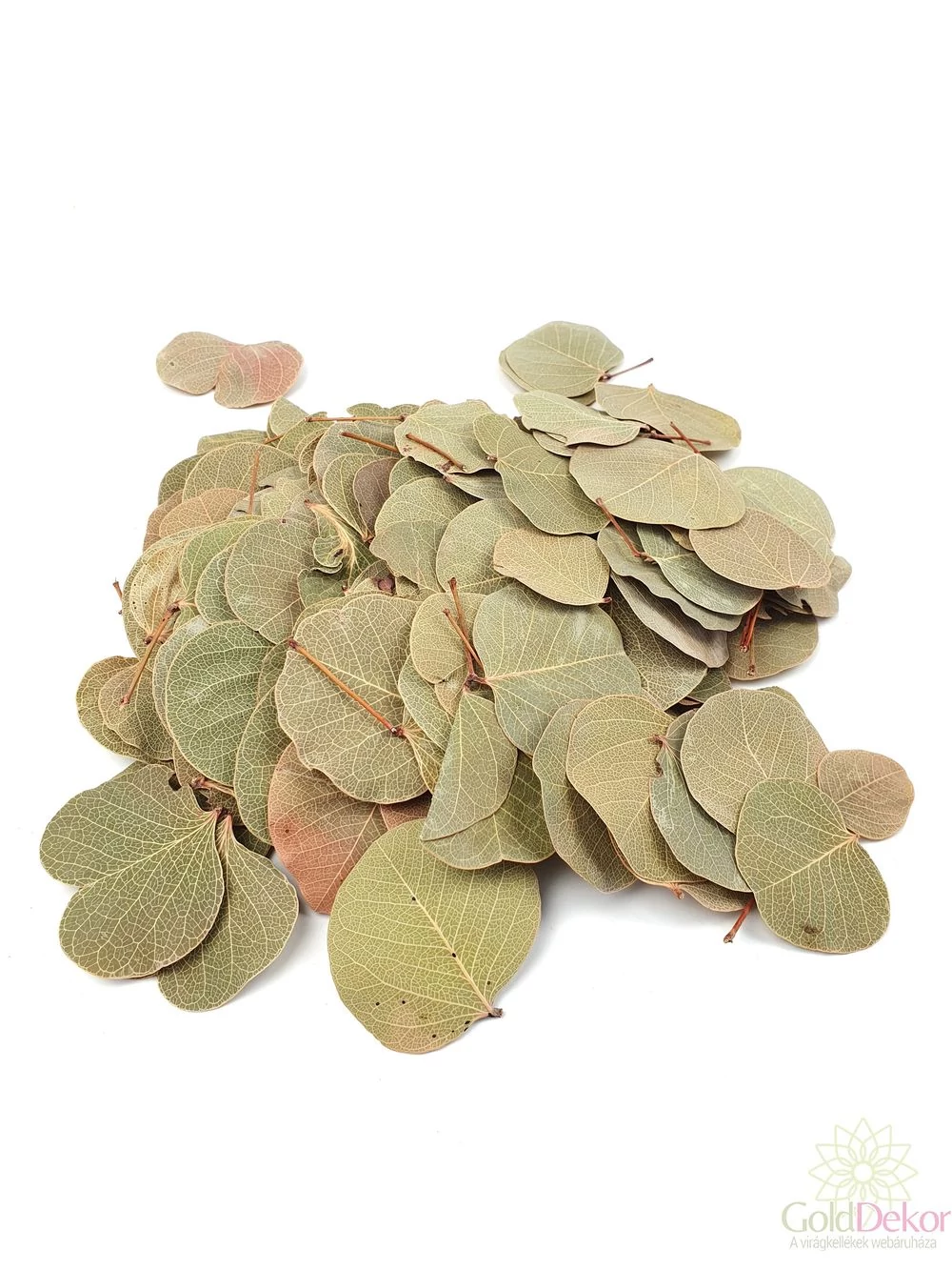 Moneta levél natúr