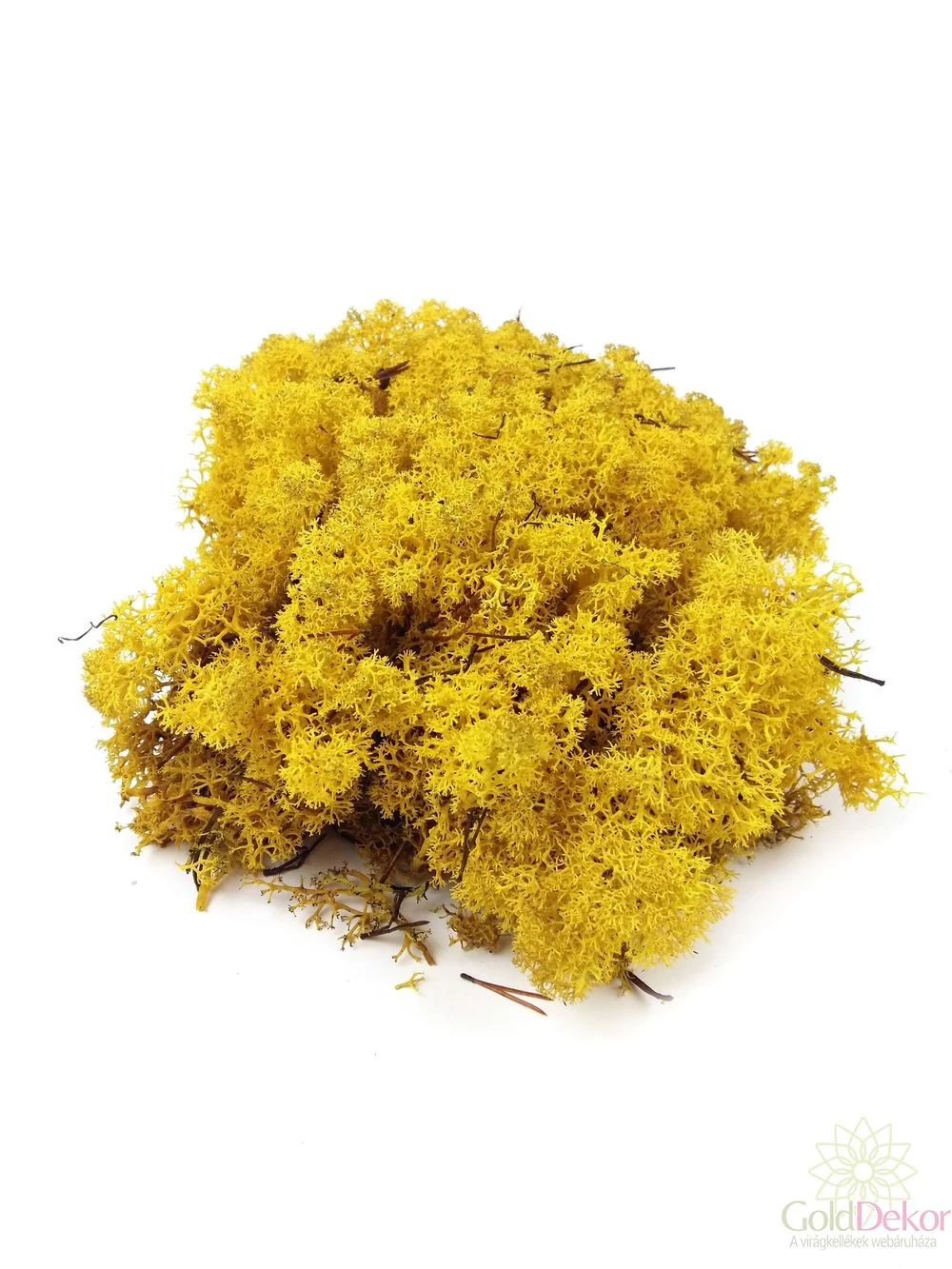 Izlandi zuzmó - Sárga