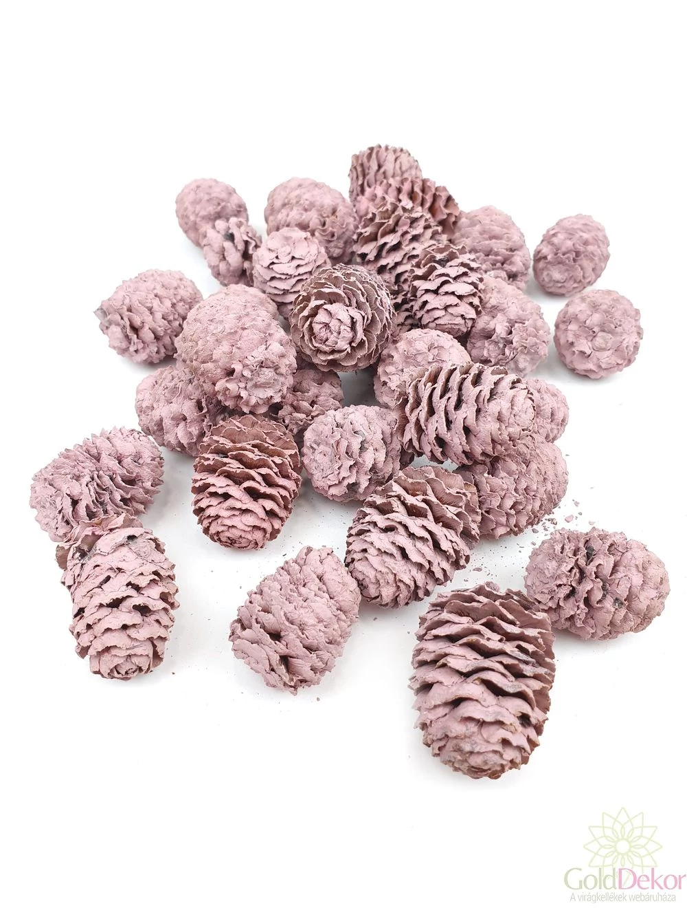 Meridianum falfestékes mályva