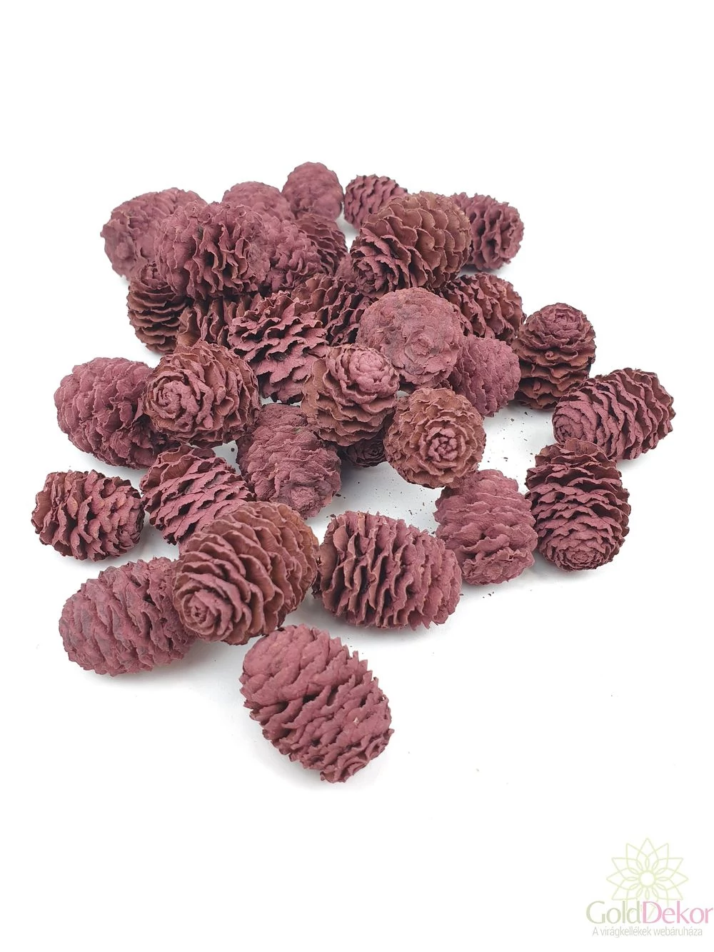 Meridianum falfestékes szeder