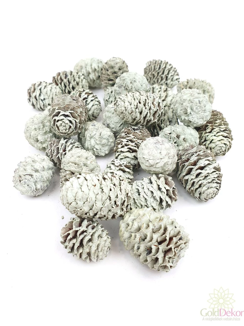 Meridianum falfestékes halvány zöld