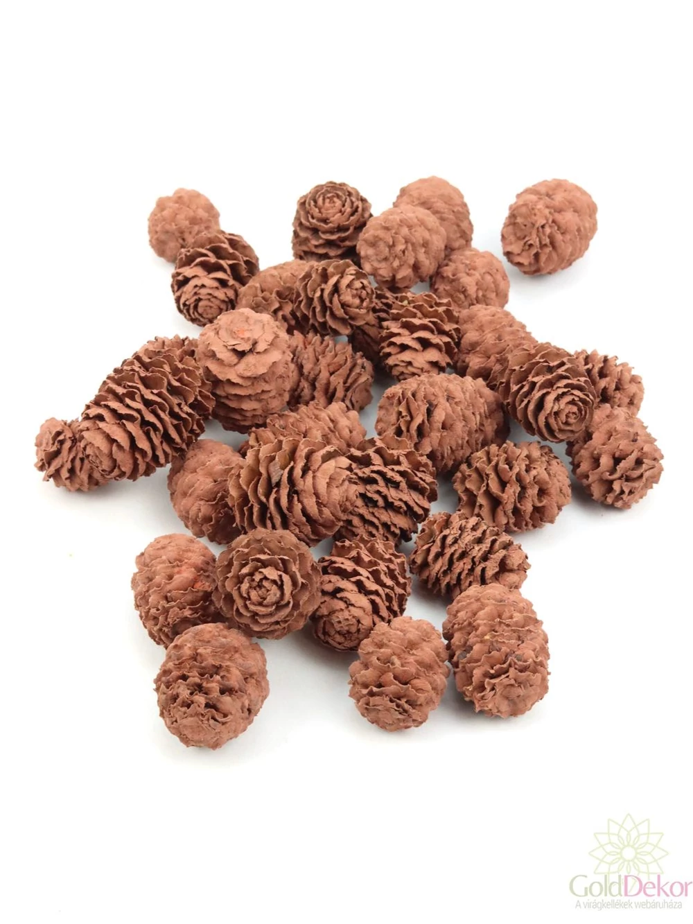 Meridianum falfestékes vil.barna