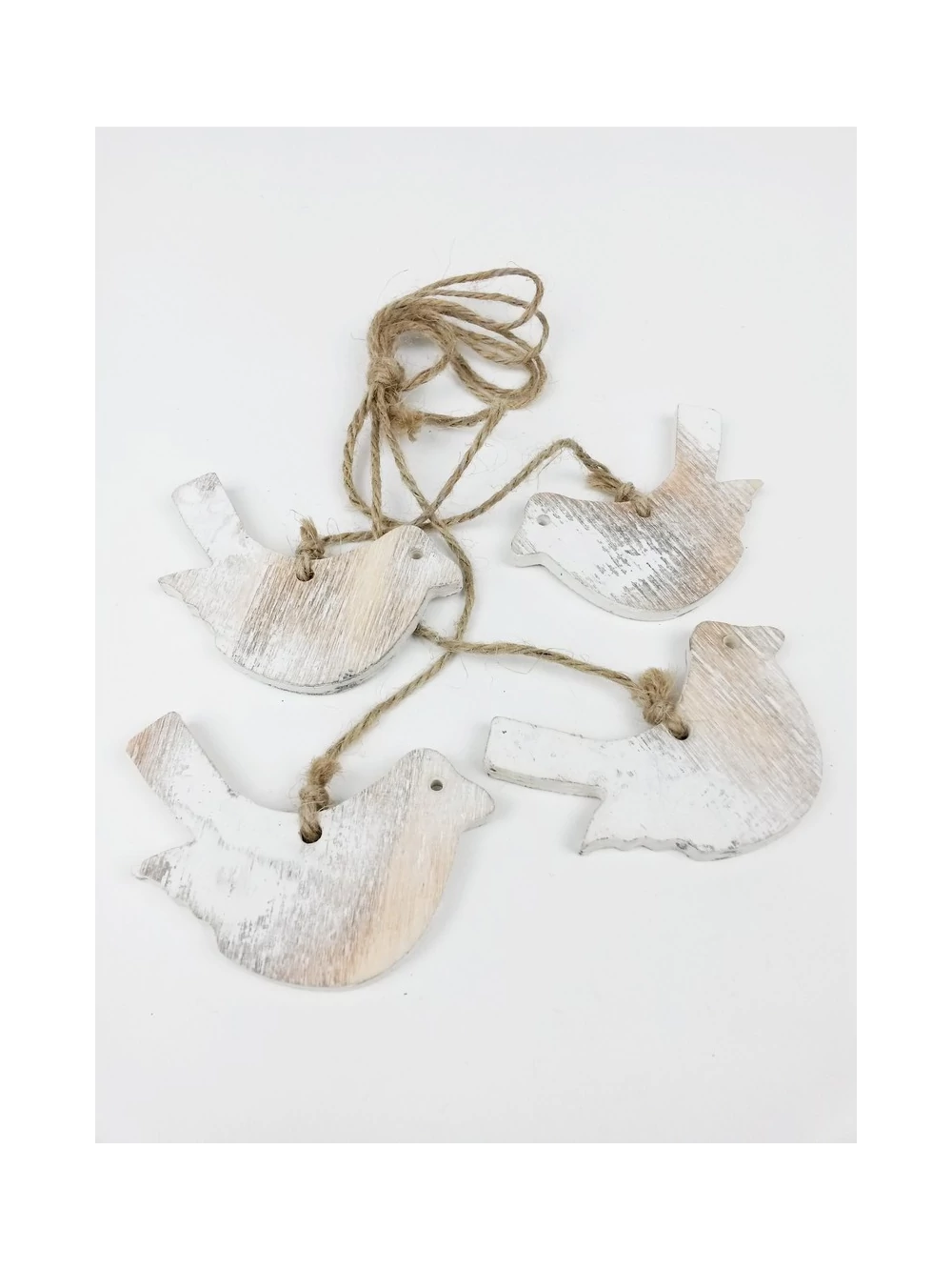 Zsinóros hamvas, koptatott madár