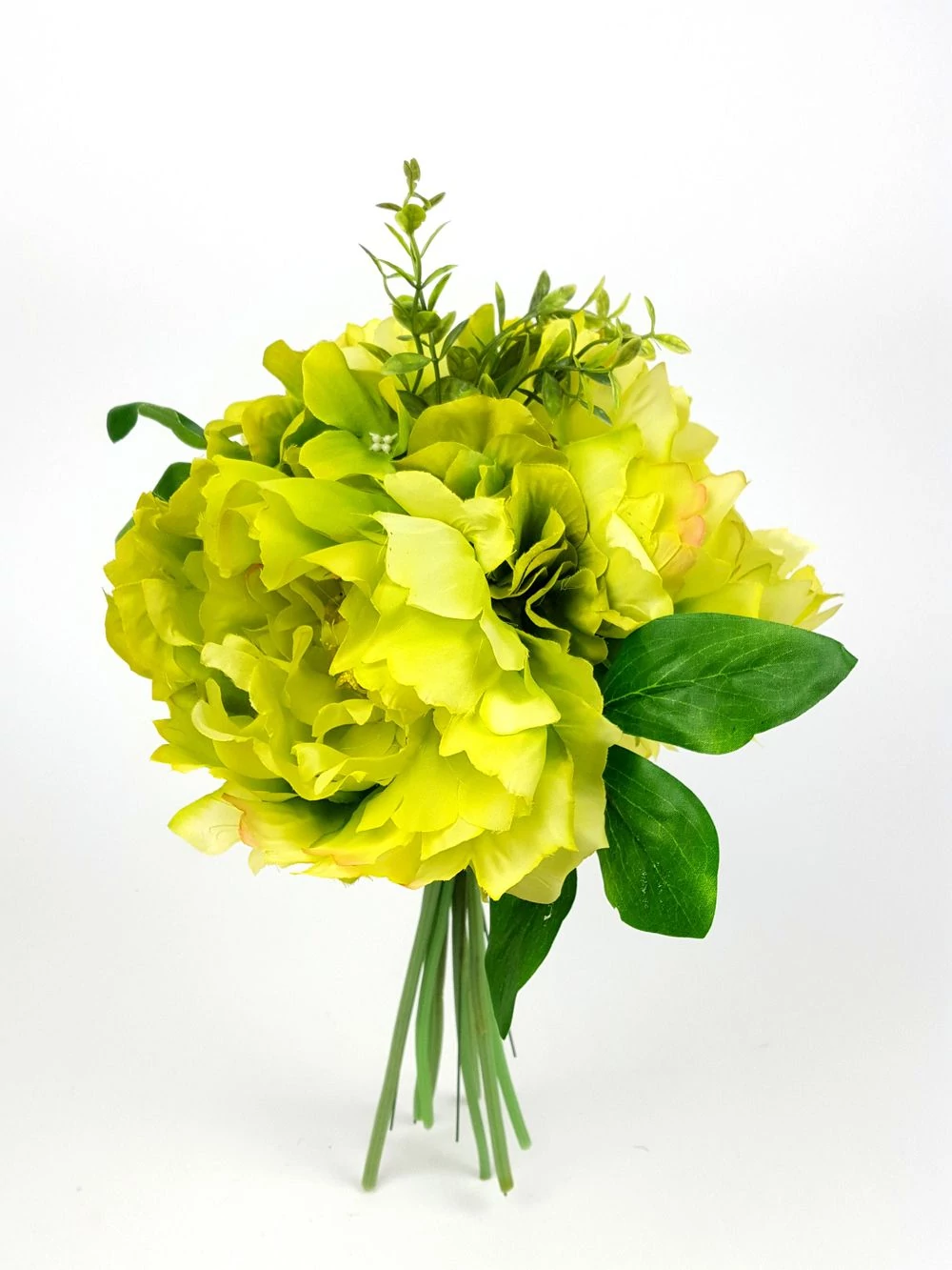 Szeldelt paeonia hortenziával - Zöld Szeldelt paeonia hortenziával - Zöld