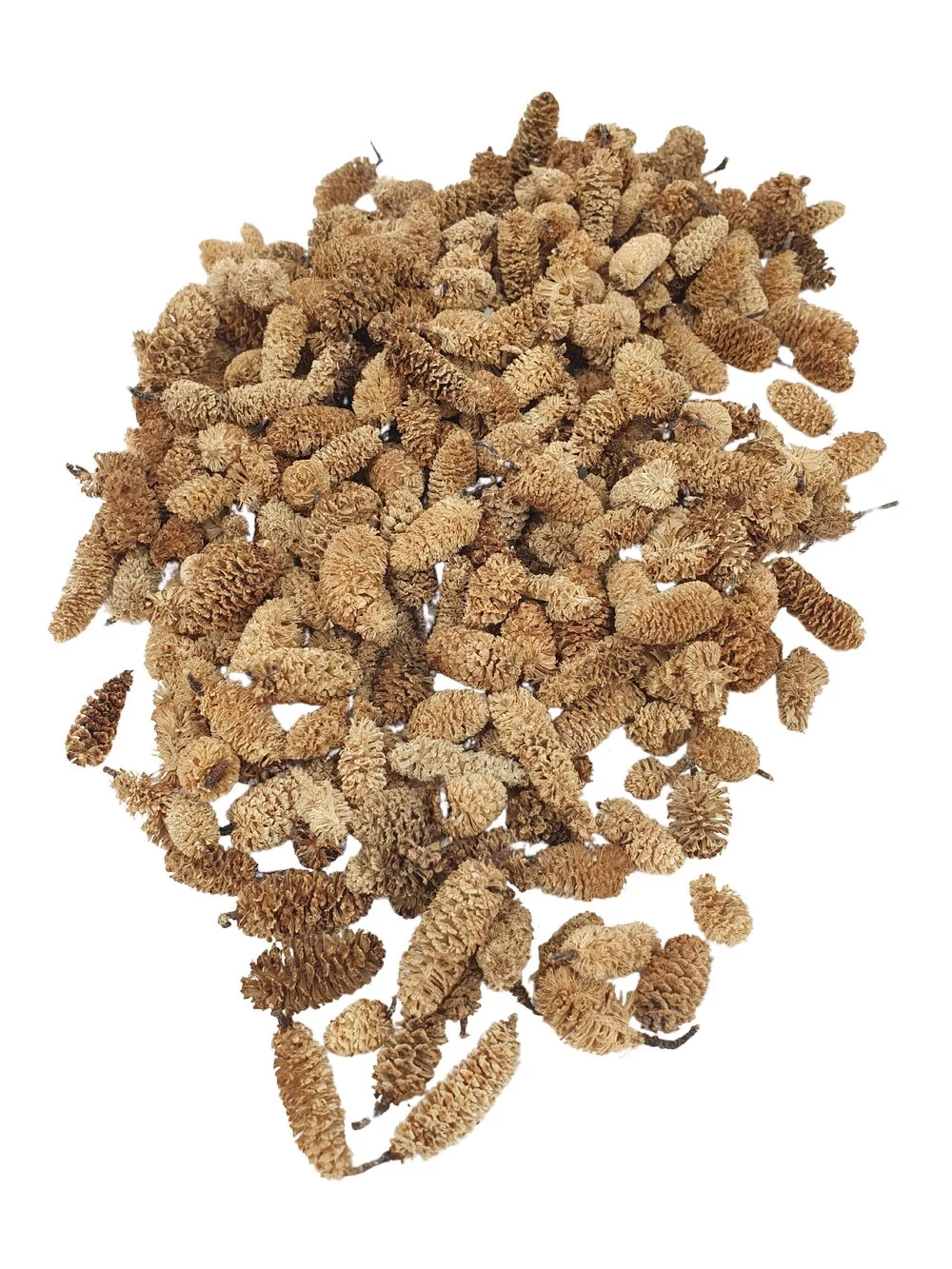 Birch pine - Fehérített