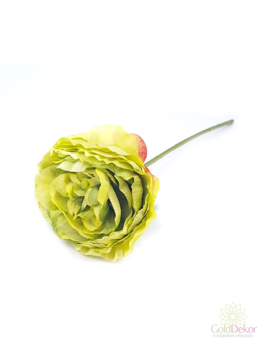 Szálas paeonia - Zöld Szálas paeonia - Zöld