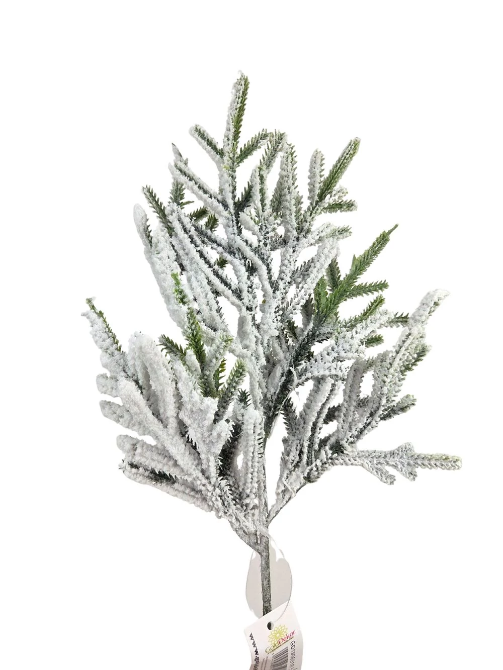 Apró levelű havas fenyőág