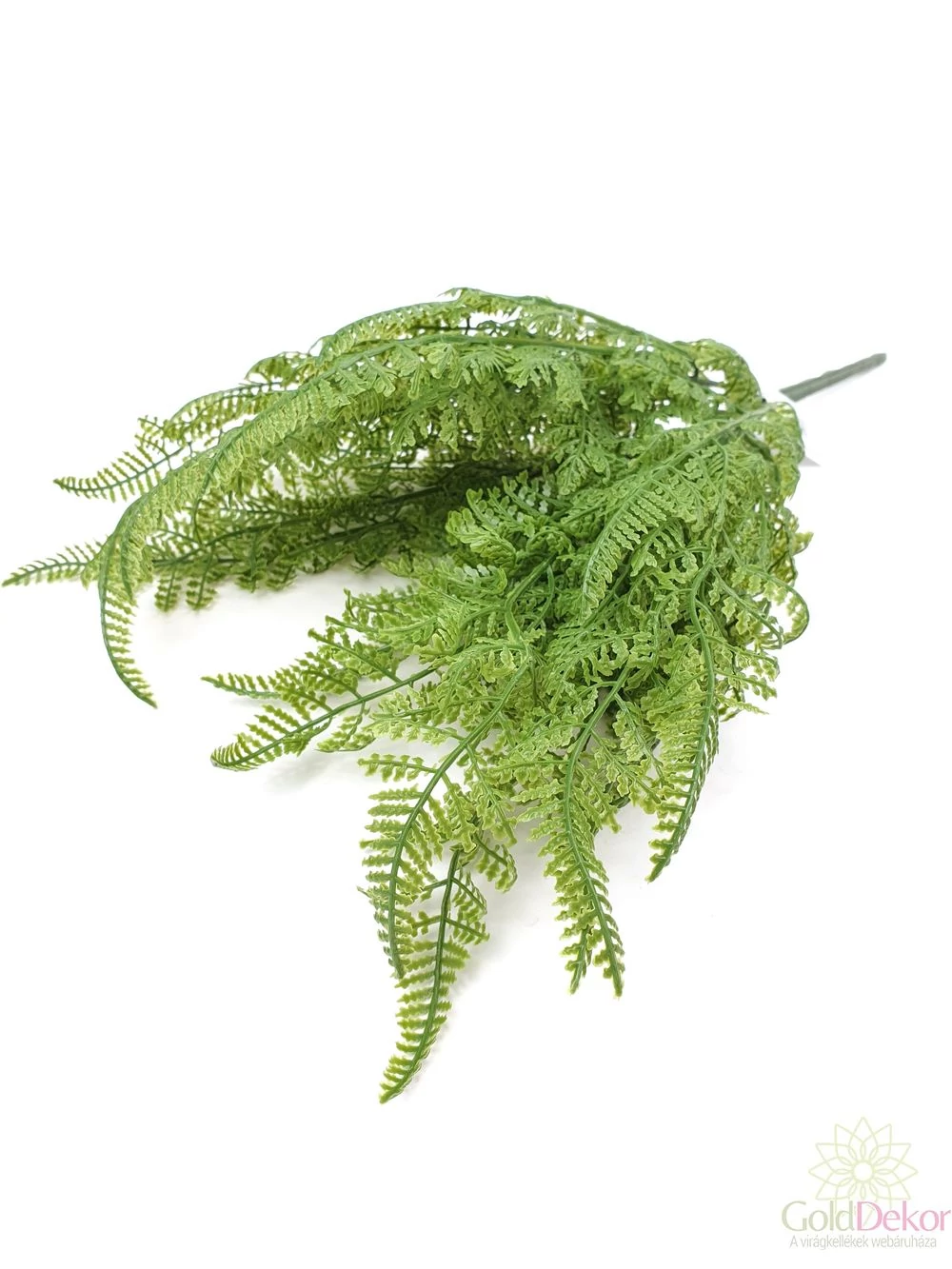 Műzöld páfrány - apró levelű