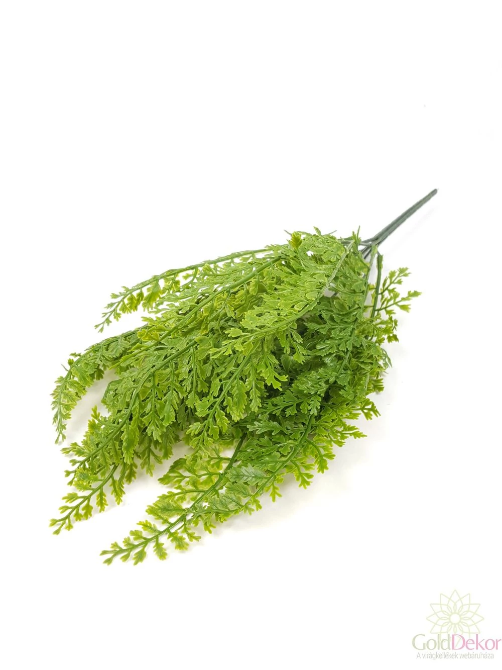 Műzöld páfrány - szeldelt