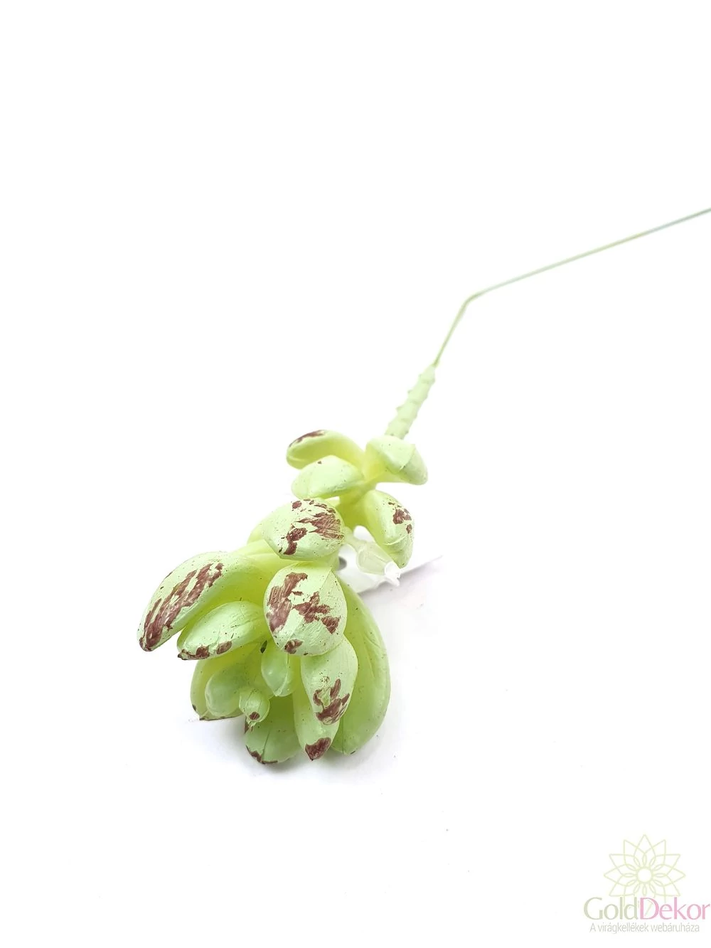 Mű pozsgás növény 111