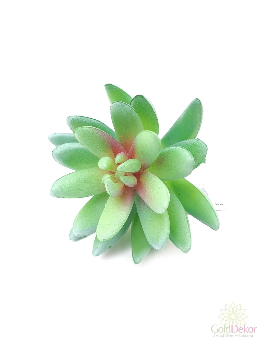 Mű pozsgás növény 72