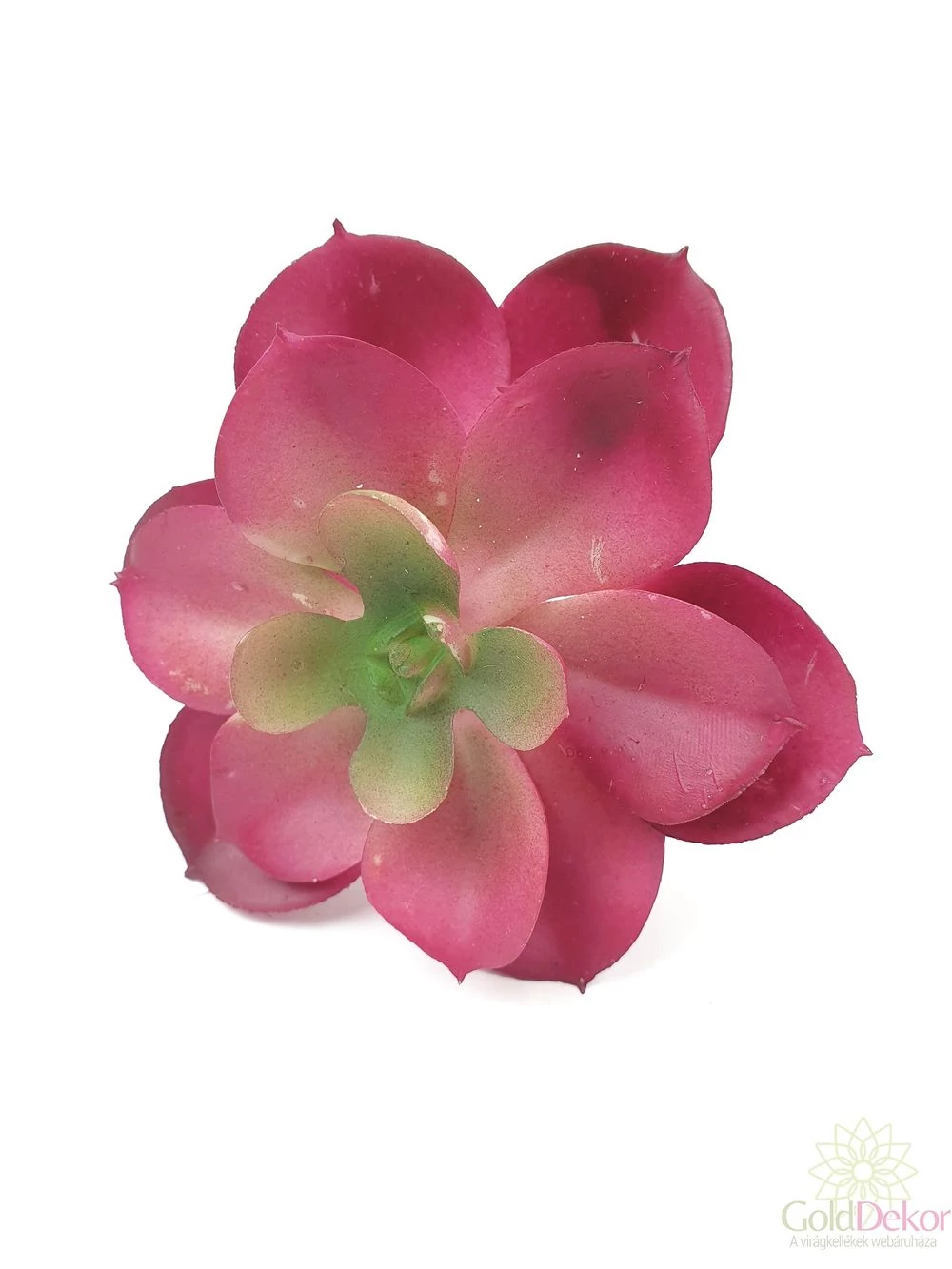 Mű pozsgás növény 77