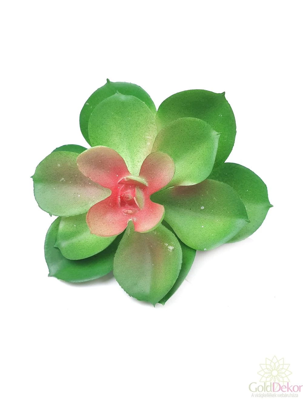 Mű pozsgás növény 93