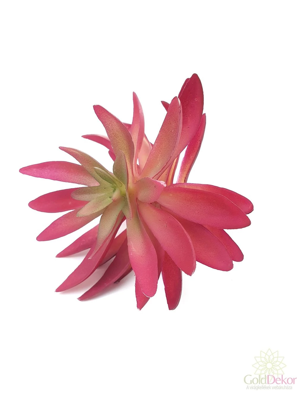 Mű pozsgás növény 108