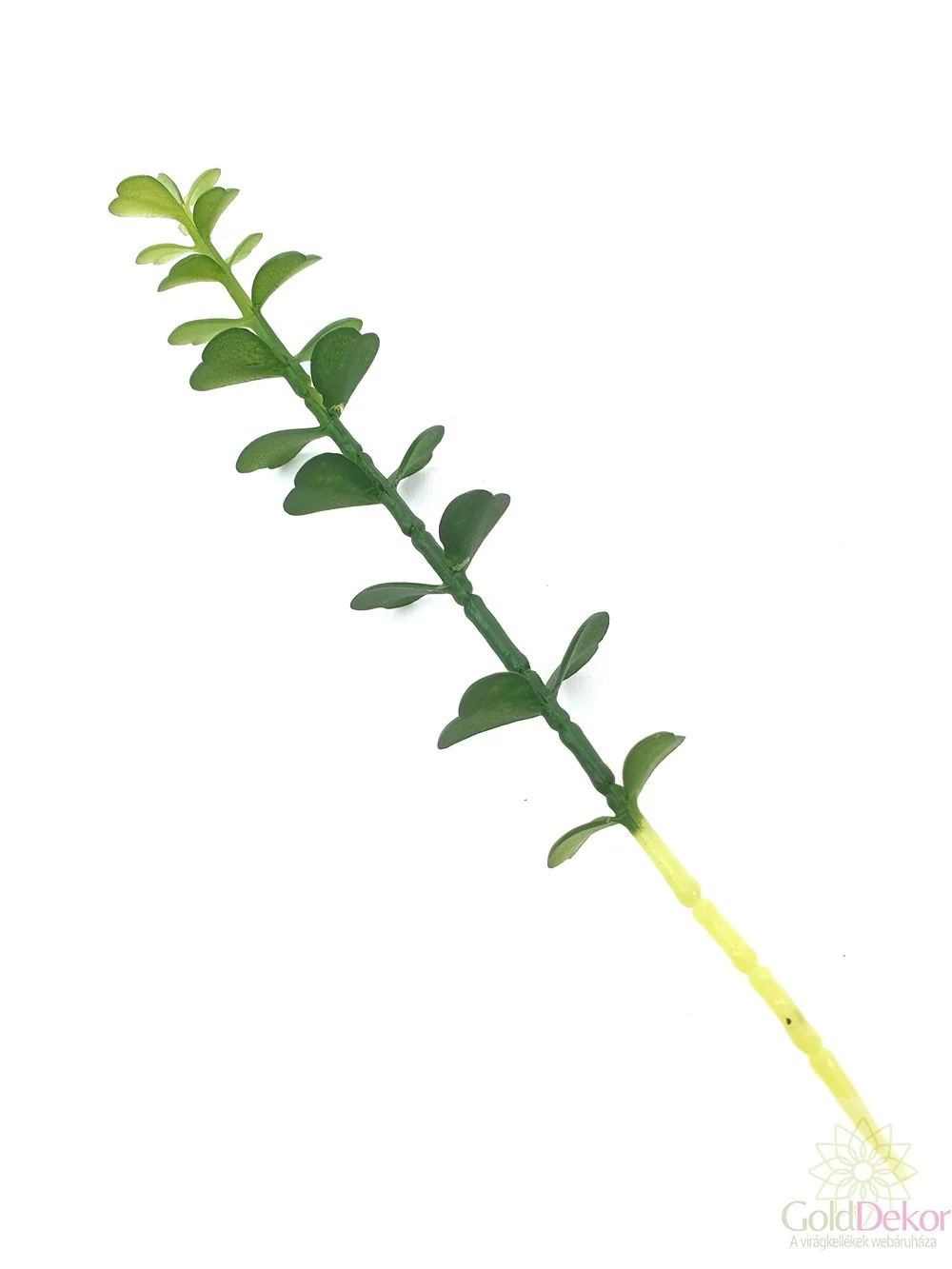 Mű pozsgás növény 79