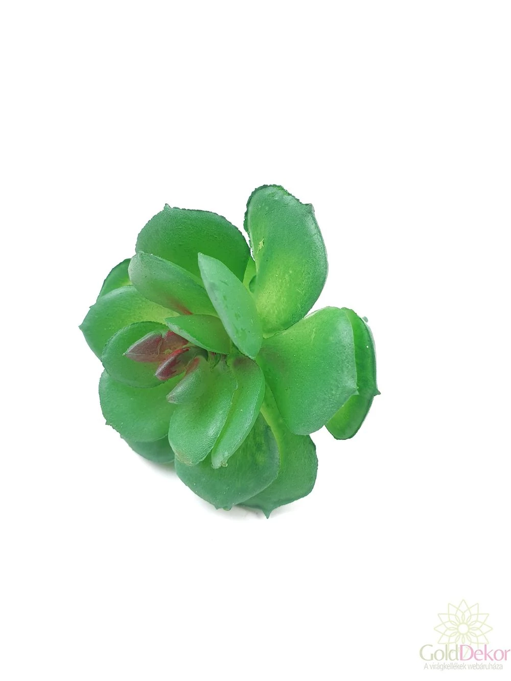 Mű pozsgás növény 95