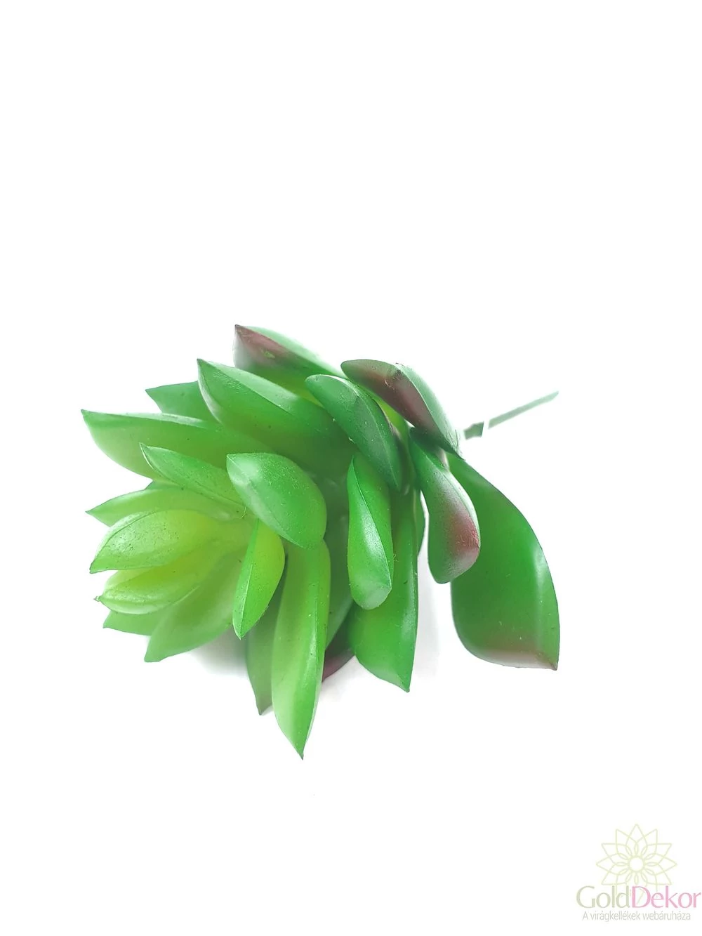 Mű pozsgás növény 97