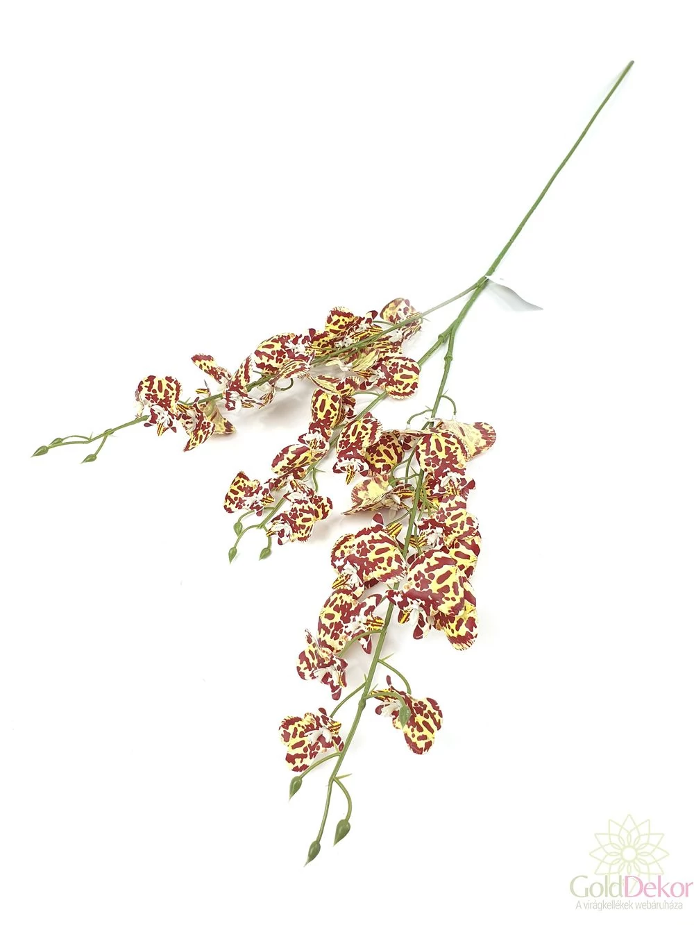 Kicsi virágú orchidea ág - Krém-bordó csíkos