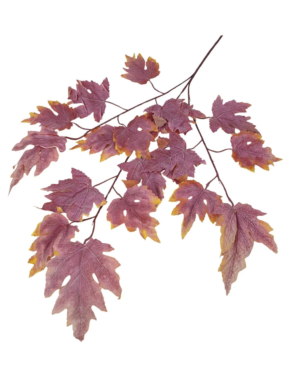 Levél ág 6 Levél ág 6