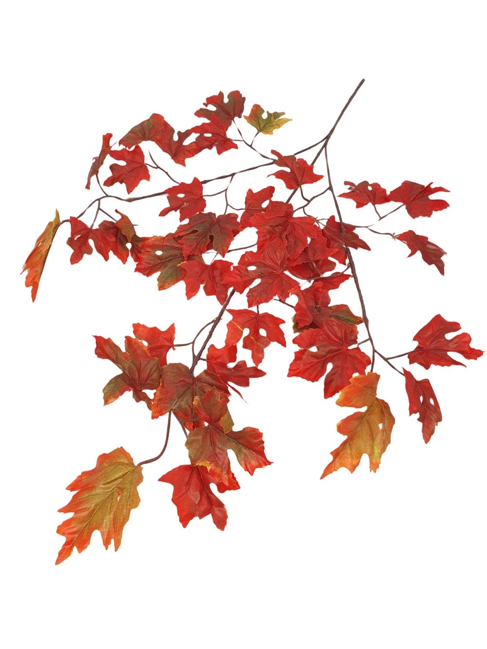 Levél ág 12 Levél ág 12