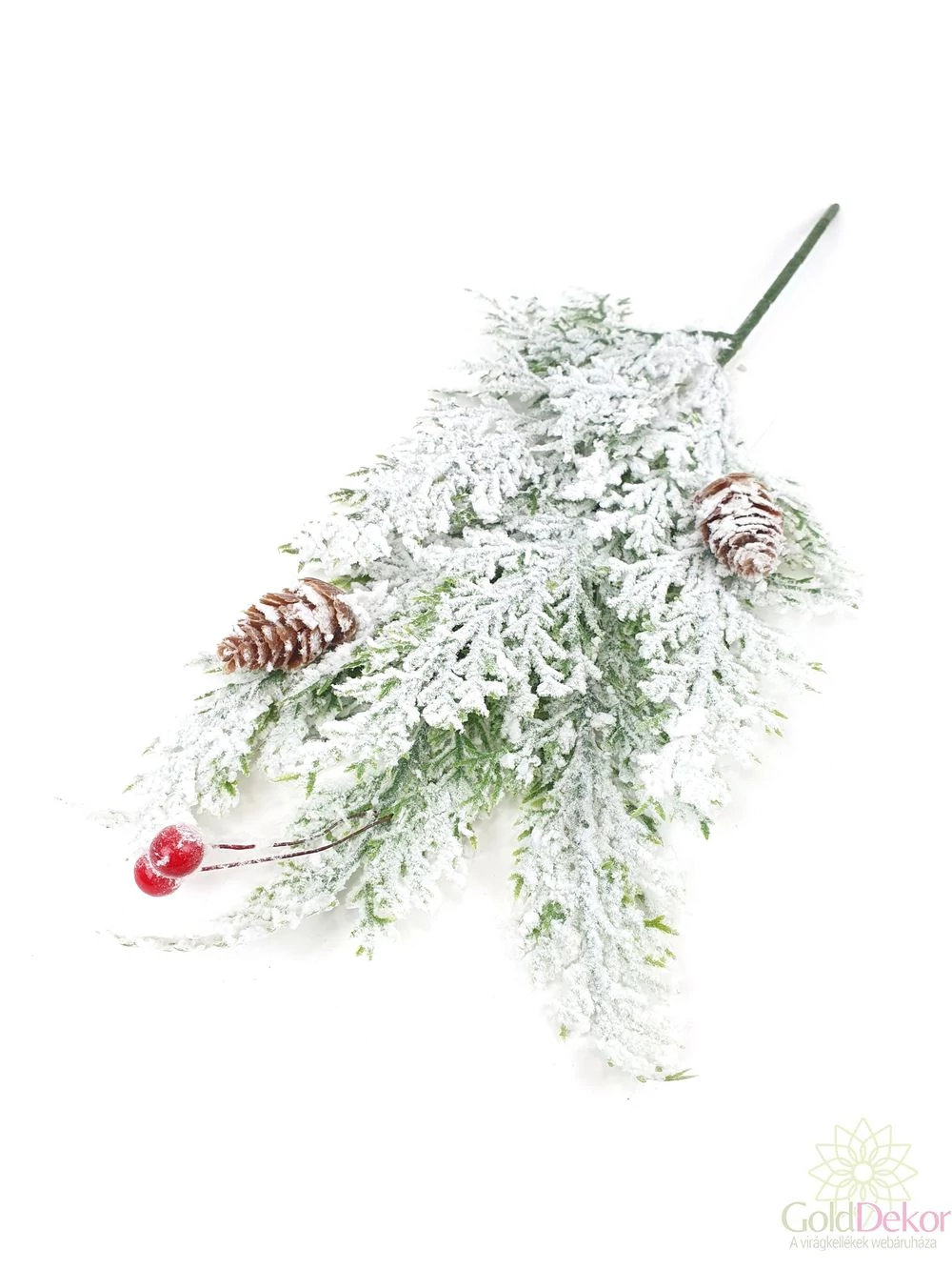 Hamvas tuja ág terméssel