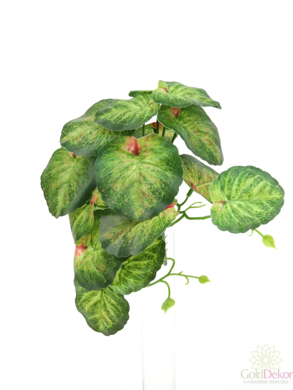 Futós zöld kicsi csokor - Kerek levelű tarka