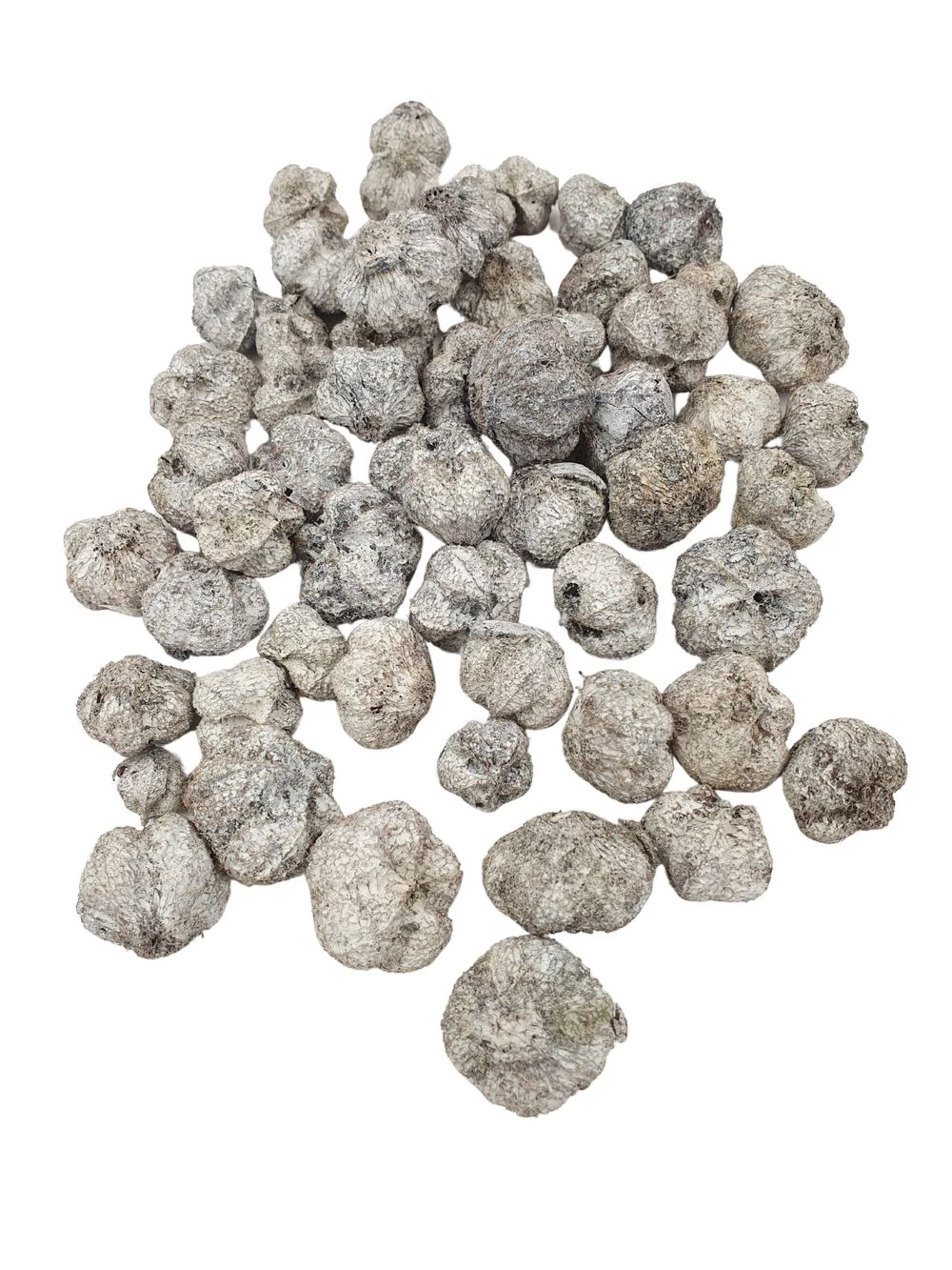 Fokhagyma termés - Hamvas