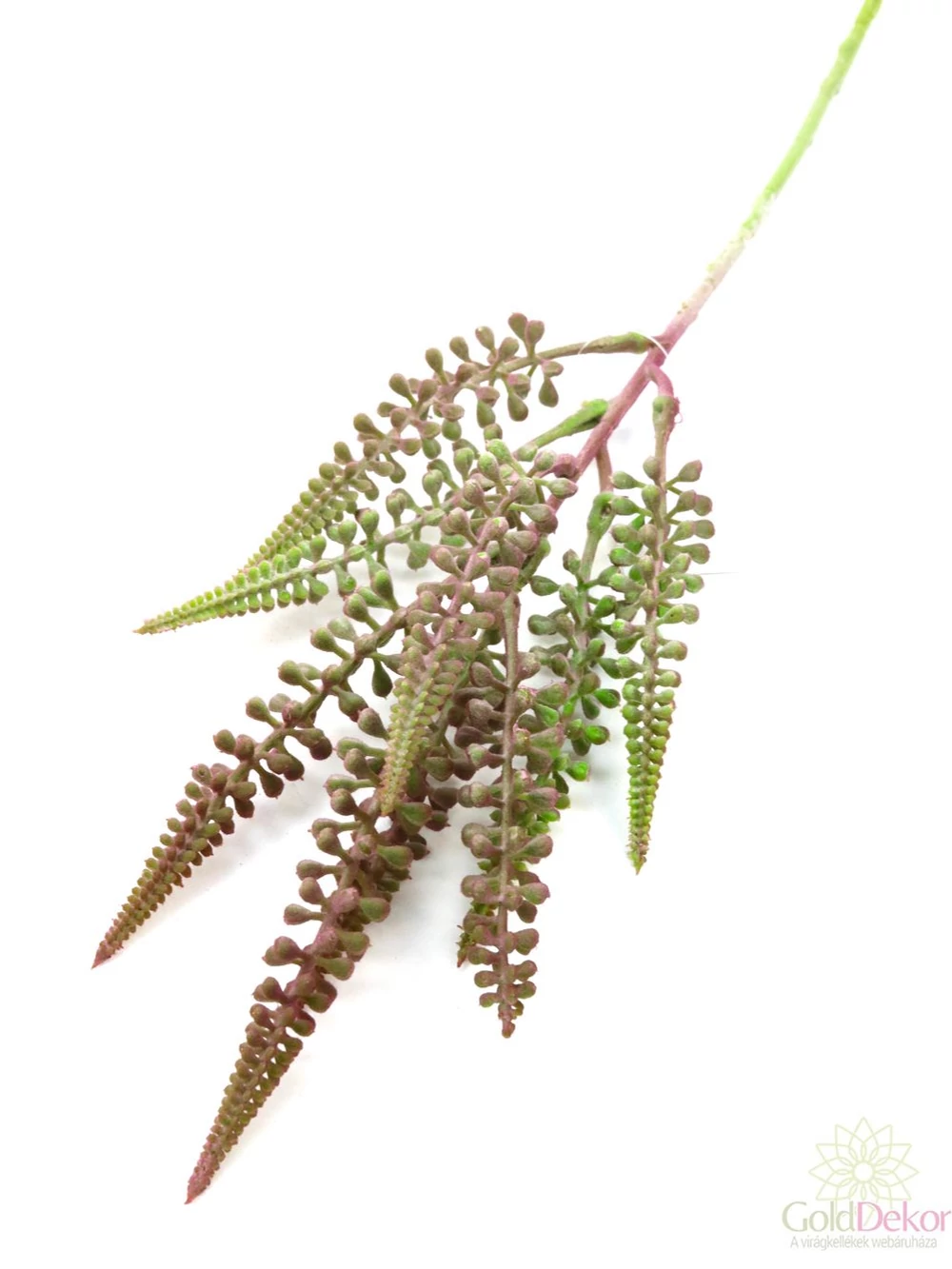 Fürt ág - Bordós zöld