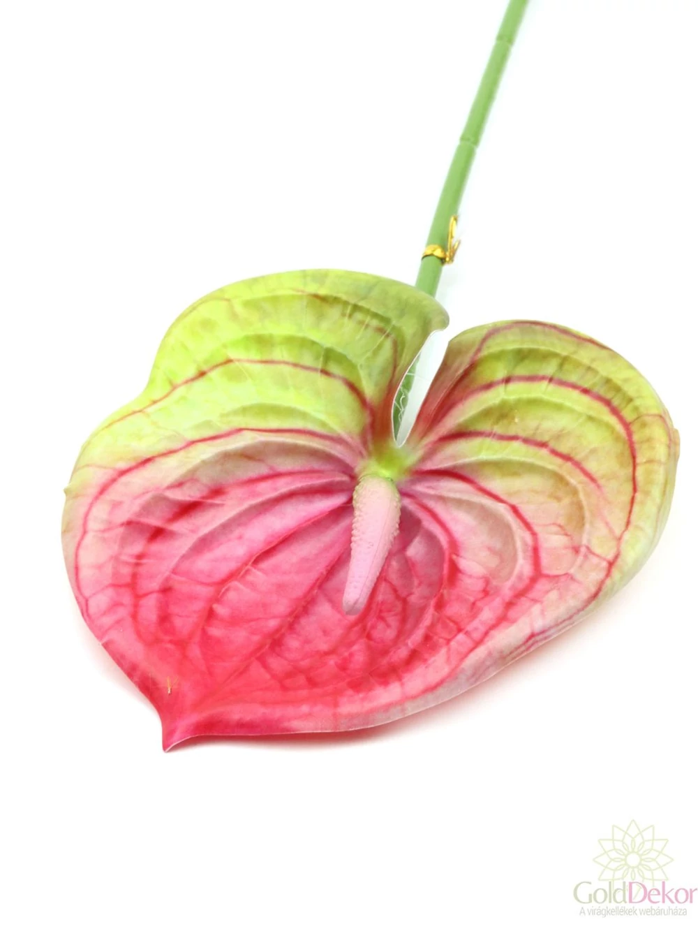 Szálas flamingó - Cirmos pink