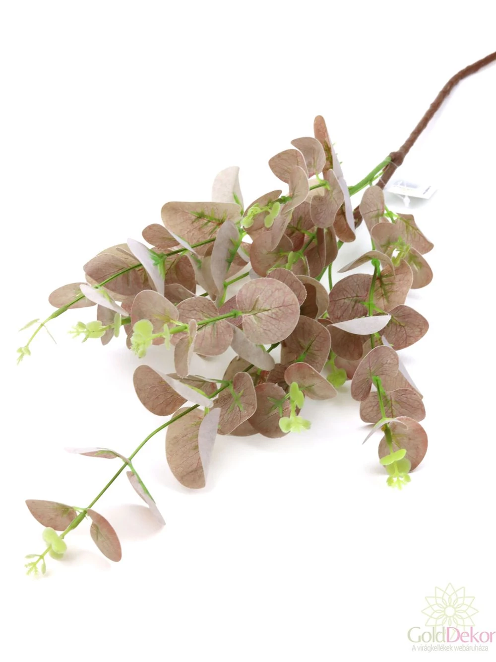 Eucalypthus ág 86 cm - Világos barna
