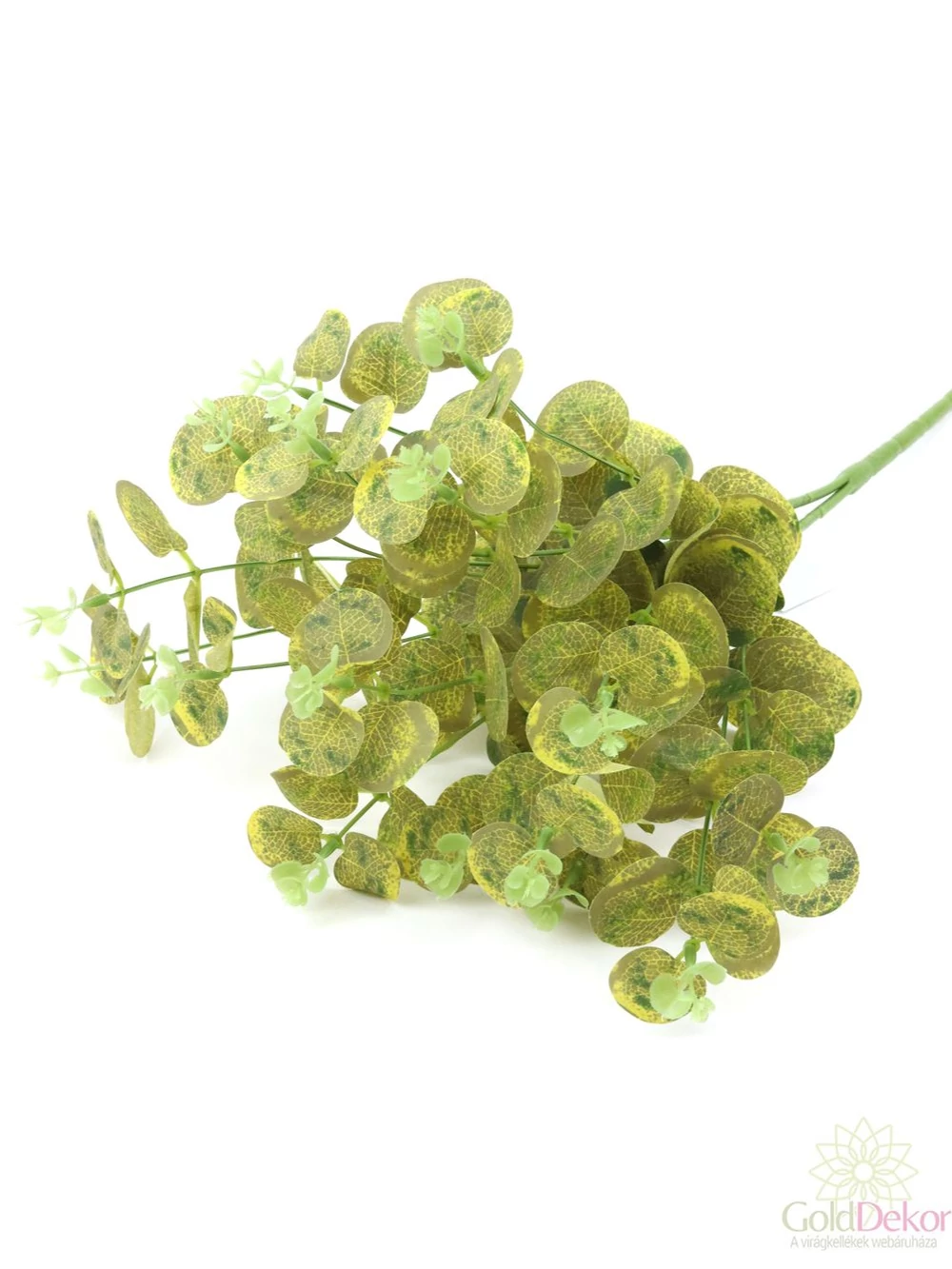 Tarka levelű eucalypthus csokor - Sárgás zöld