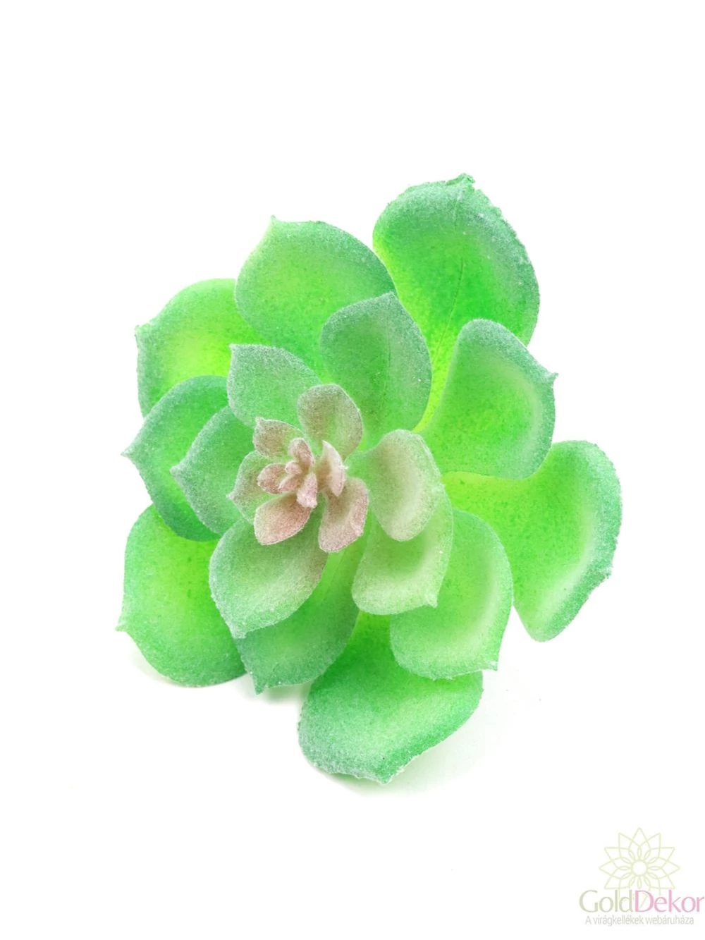 Mű pozsgás növény 118