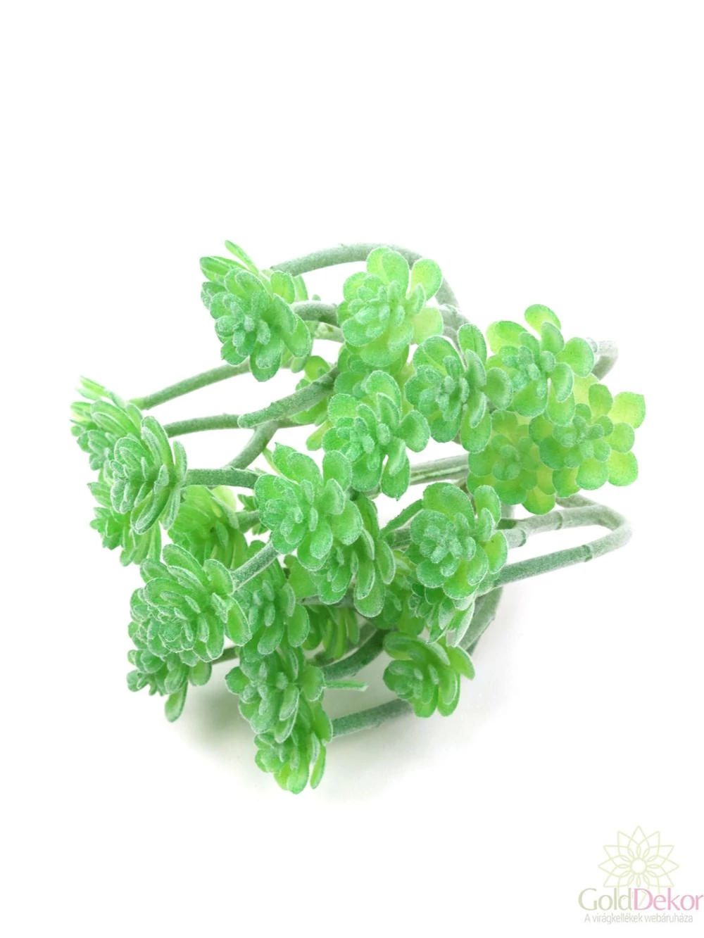 Mű pozsgás növény 121