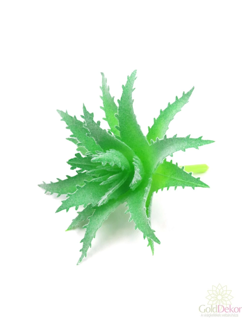 Mű pozsgás növény 130