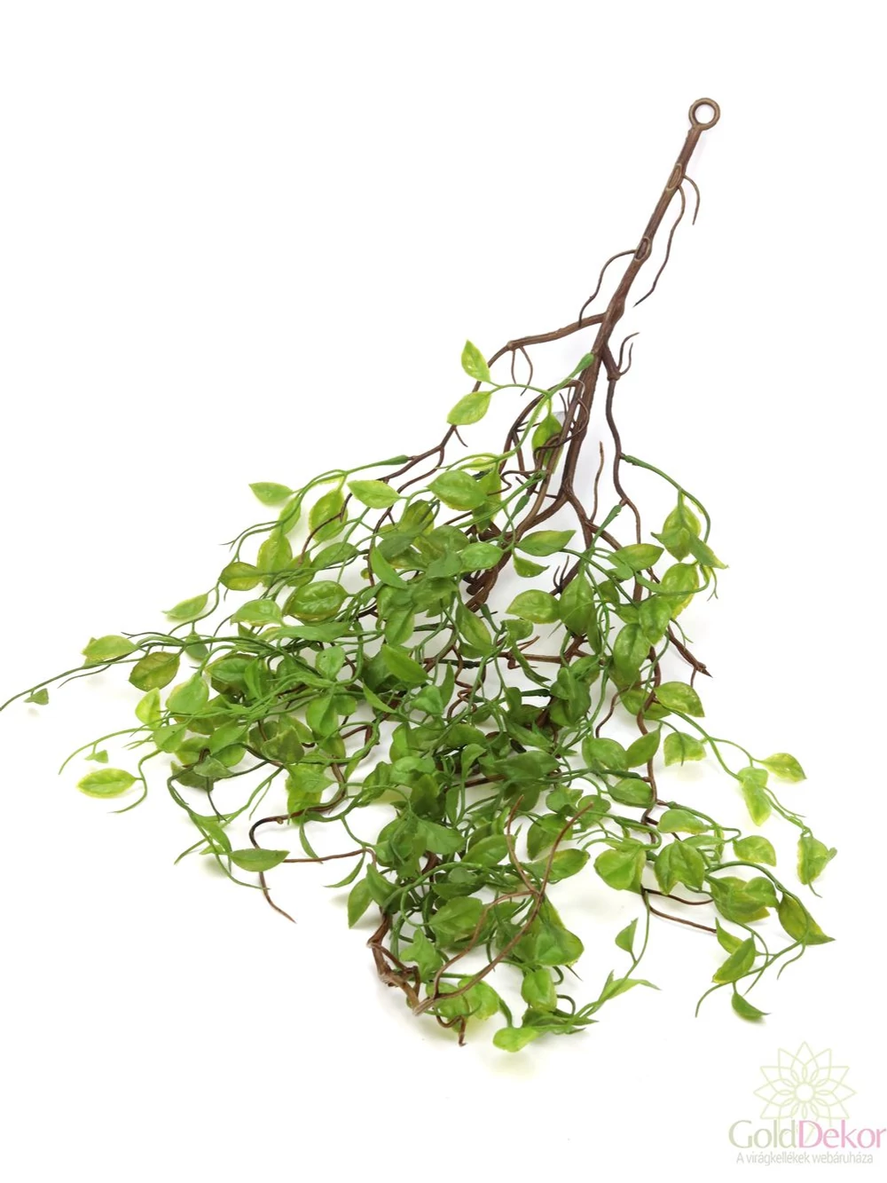 Műzöld indás növény 2