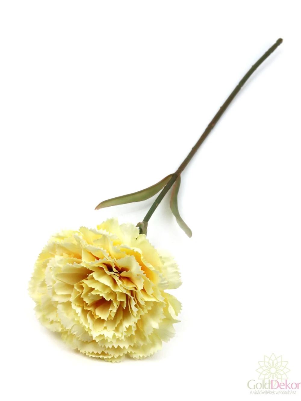 Szálas antik szegfű - Krém