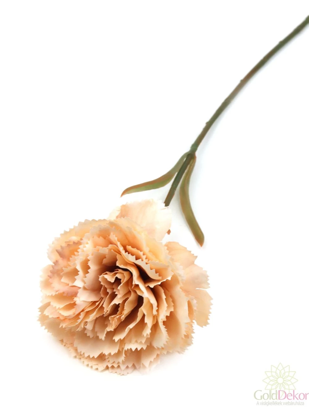 Szálas antik szegfű - Antik barack